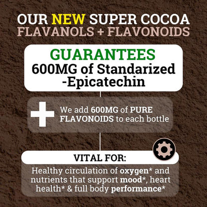 Cocoa Flavanols & Flavonoids
