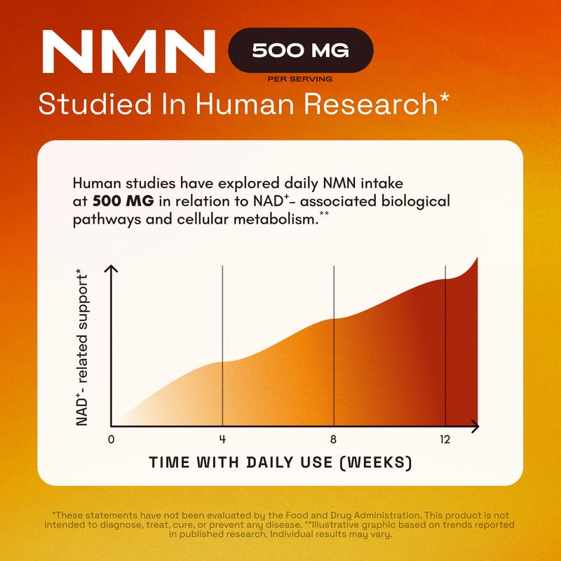 NMN Supplement