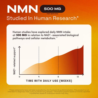 NMN Supplement